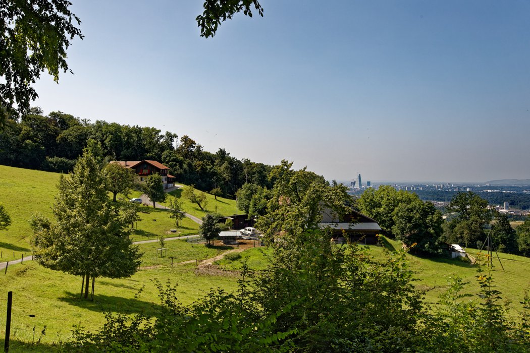 Hof Leuengrund