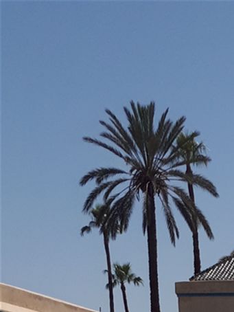 Palais de la Bahia