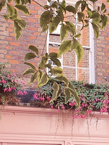 These cute shops can be found in Covent Garden.