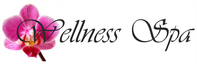 Wellness-spa-västerås-logga
