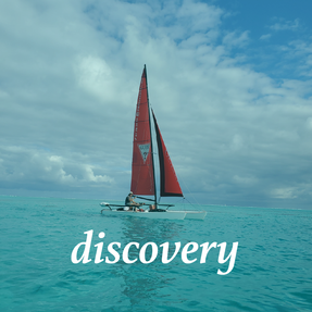 discovery wellness tahaa