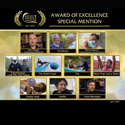Excellence Award