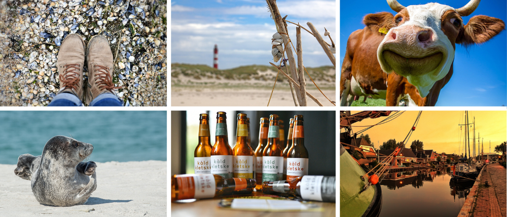 Vakantiehuisje in Friesland - Waddengebied