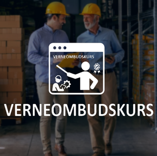 verneombudskurs