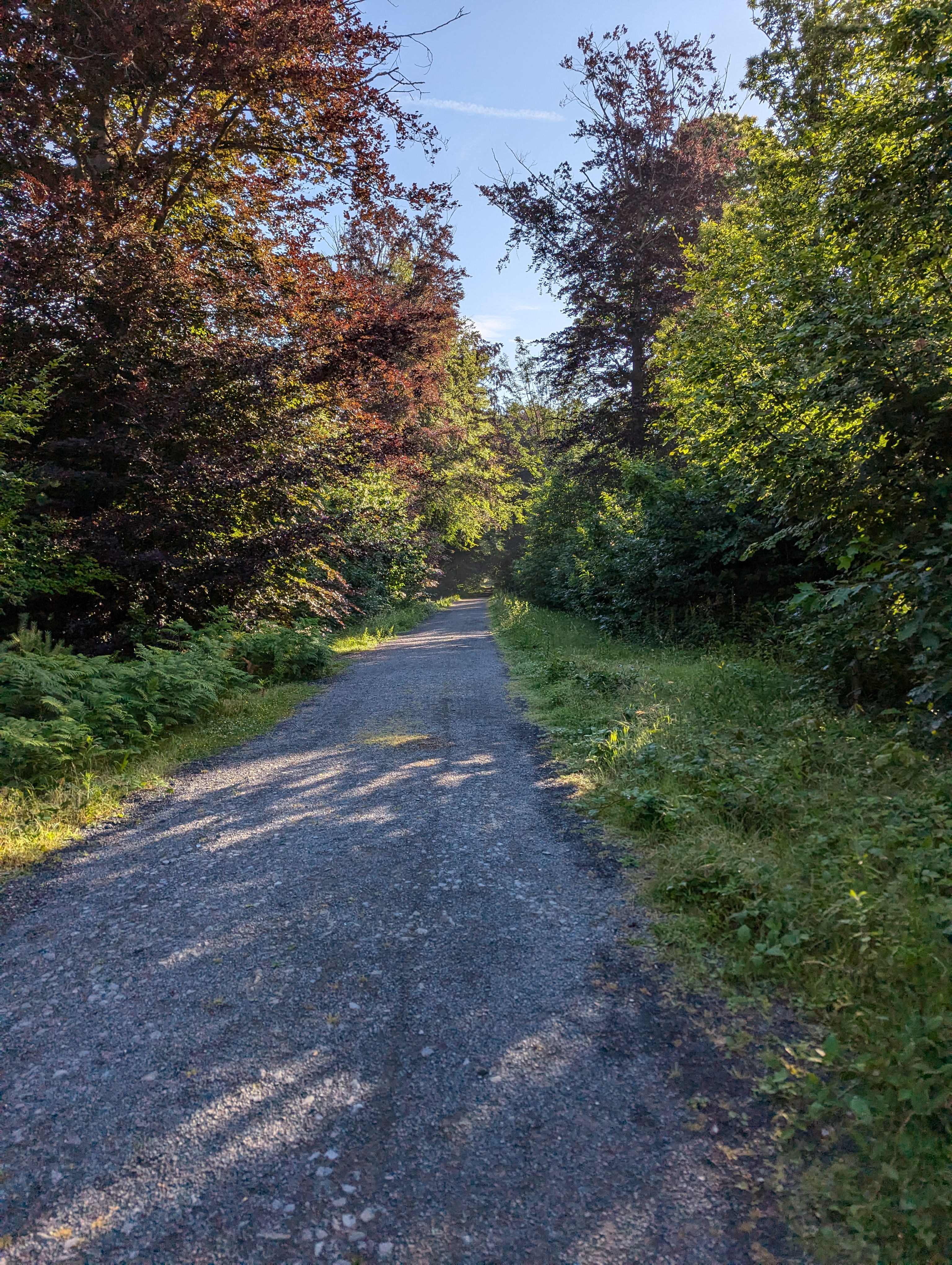 PXL_20240630_062356736