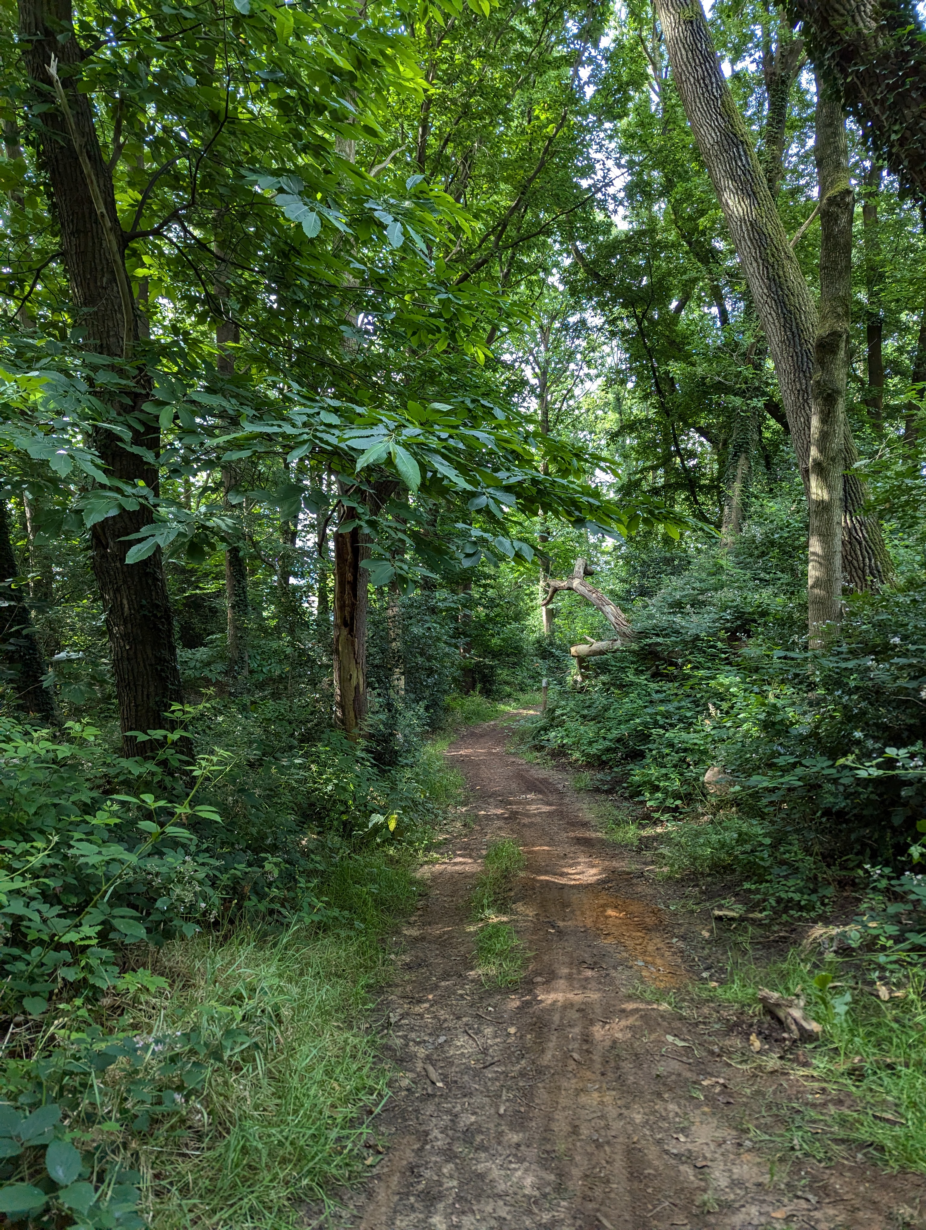 PXL_20240630_072440024 (2)