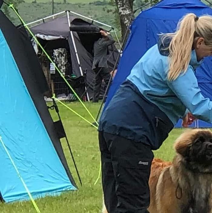 Mocca BIR valp med Hederspris i Vanersborg -19