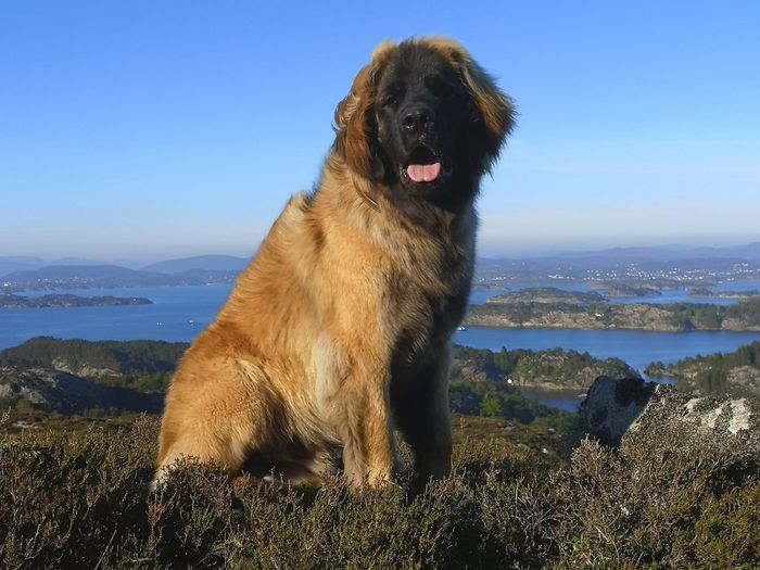 10 months old