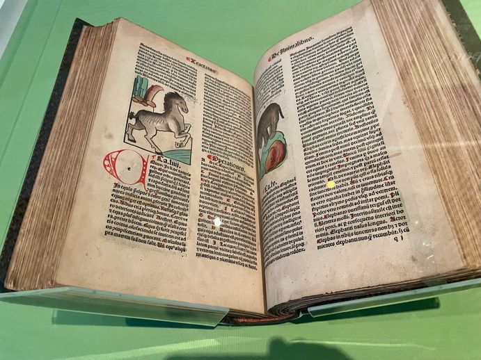 Garden of Good Health, 1491