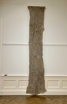IMG_8402