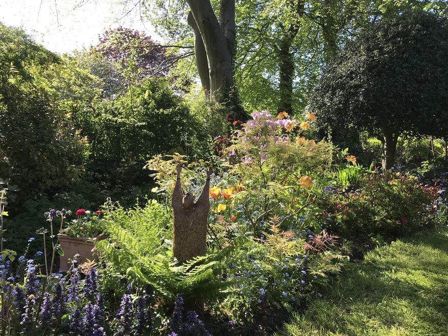 the previous month's cool weather has allowed the spring flowers to survive well into May