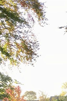 autumnal view from the front window