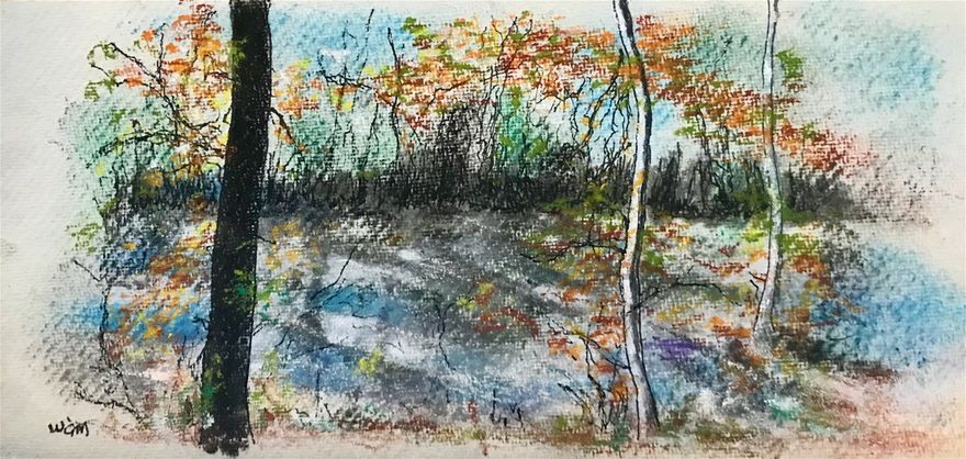 Dibbinsdale nature reserve, pastel and ink on textured paper 12 x 20 cm