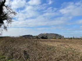 Peckforton castle