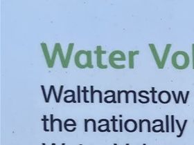 Some of the threatened wildlife of the marshes