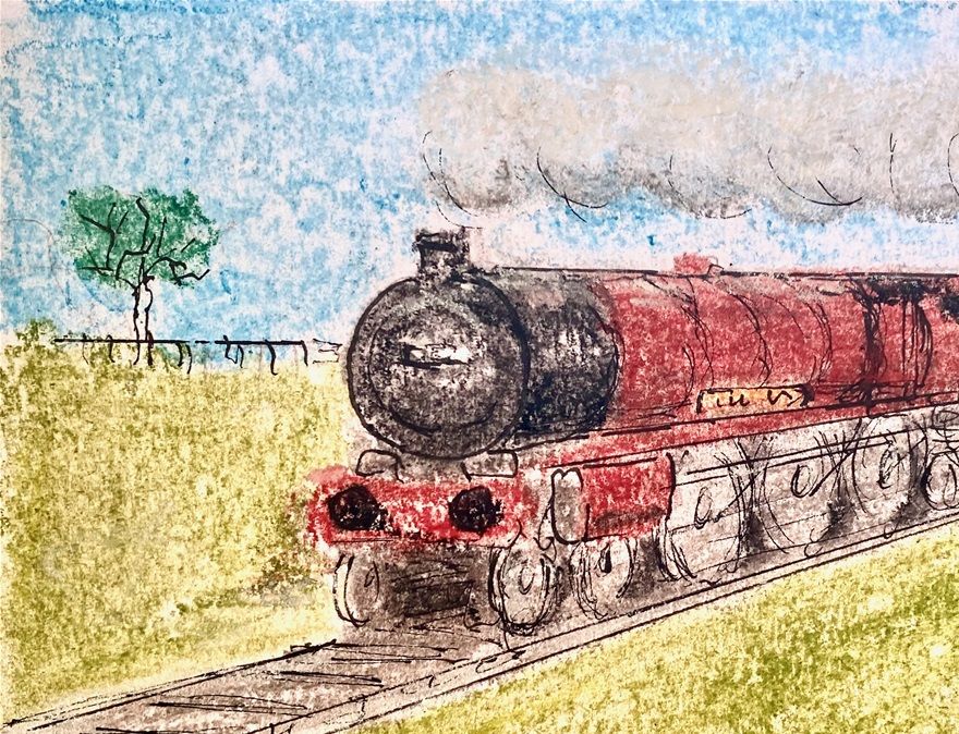 the little white sheep and the little red hen go transporting together