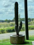 Ingens opbouw 3