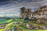 The Rugged Beauty of Dartmoor