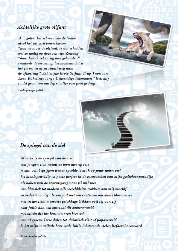 Achtelijke grote Olifant / Spiegel van de ziel