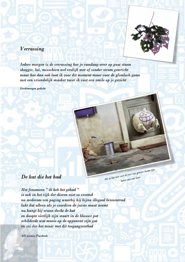 Verassing / De kat die het had