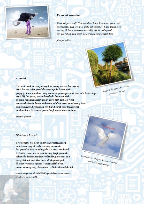 Passend schoeisel / Inhoud / Stategies spel