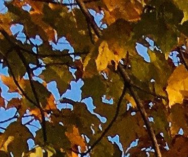Rites of Fall