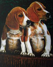 beagles