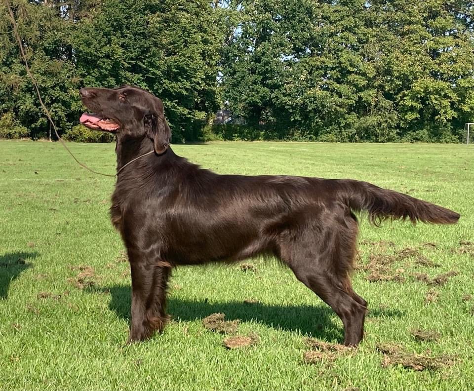 Iris 19 month old