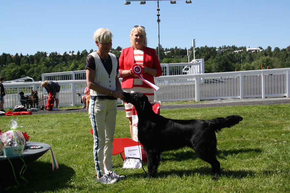Lui in Norway