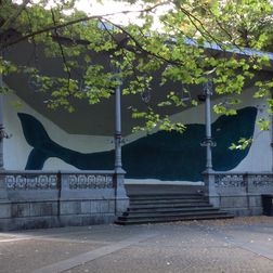 Walvis - Stadspark Leuven