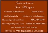 16K WV       TER HAEGHE.docx