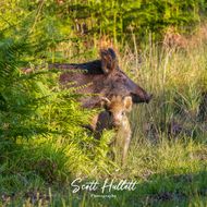 IMG_3012-Enhanced-NR-Edit