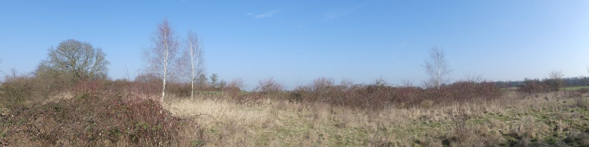 Heiligenstock Blickrichtung Heilsberg März 2021