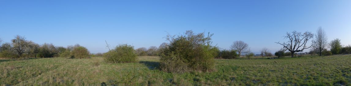 Heiligenstock Blickrichtung Berkersheim April 2021