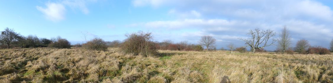 Heiligenstock Blickrichtung Berkersheim Dezember 2021