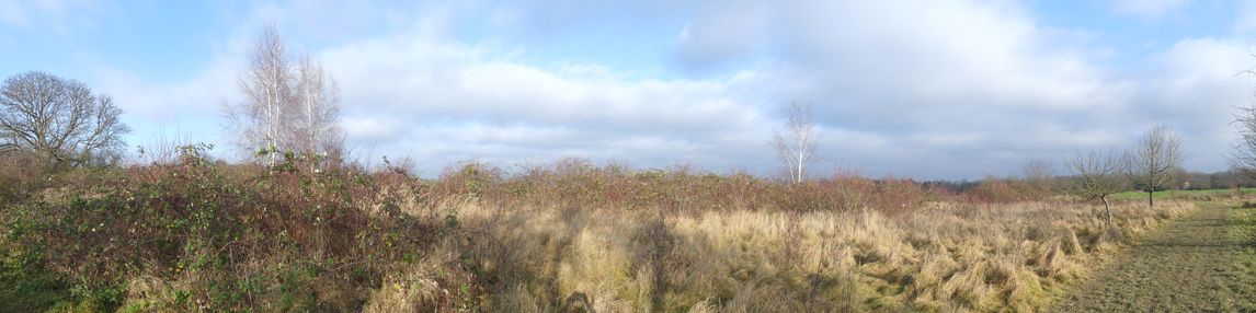 Heiligenstock Blickrichtung Heilsberg Dezember 2021
