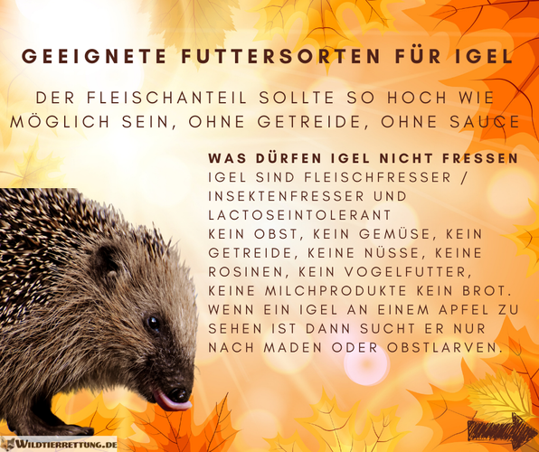 1futter