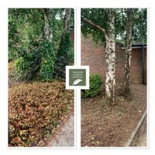 Williams Garden Services   17