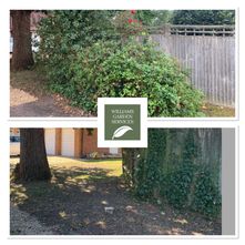 Williams Garden Services - Garden Clearance