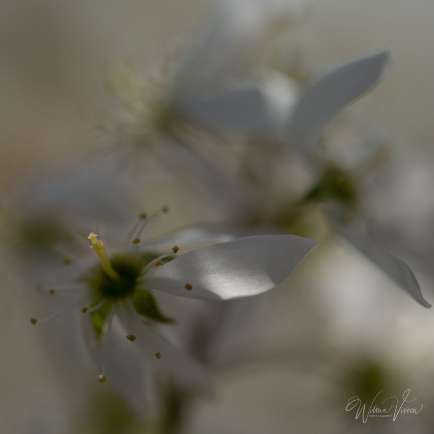 20180419_naamloos_4172