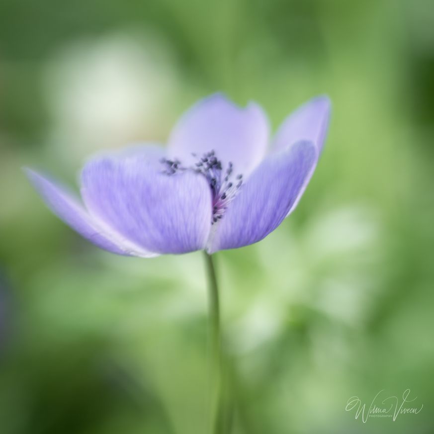 20190504_naamloos_0878