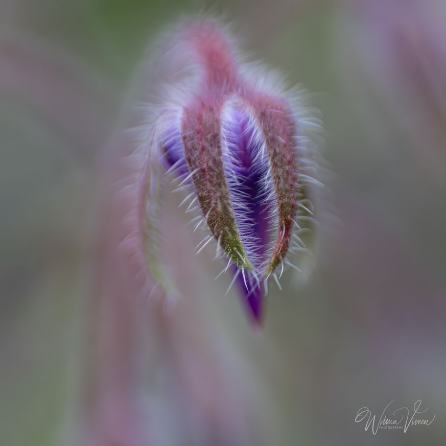 20190715_naamloos_7743-bewerkt