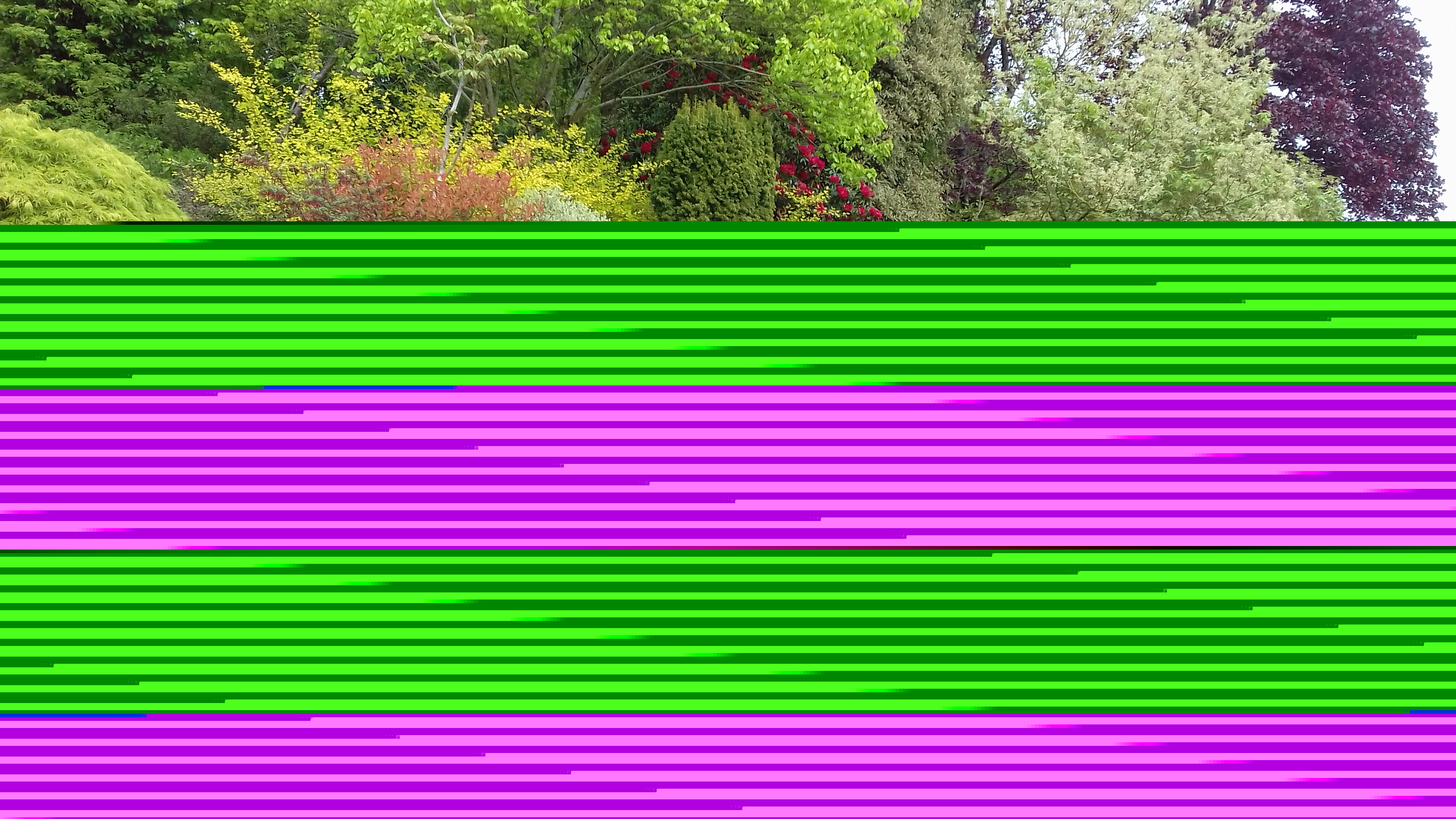 rockery_edited1