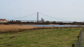 20200219 Barton-002