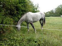 Lund 20200805_120510