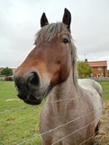 20211006_125410_Rudston