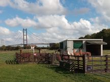 Barton LLamas 2022 Aug