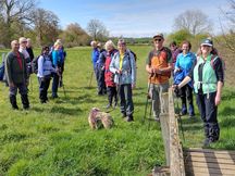 Bradley Woods Lincolnshire April 2023 (1)