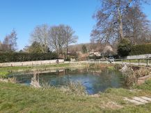 Brantingham 20200327_120200