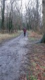 Brantingham Feb 2023 2
